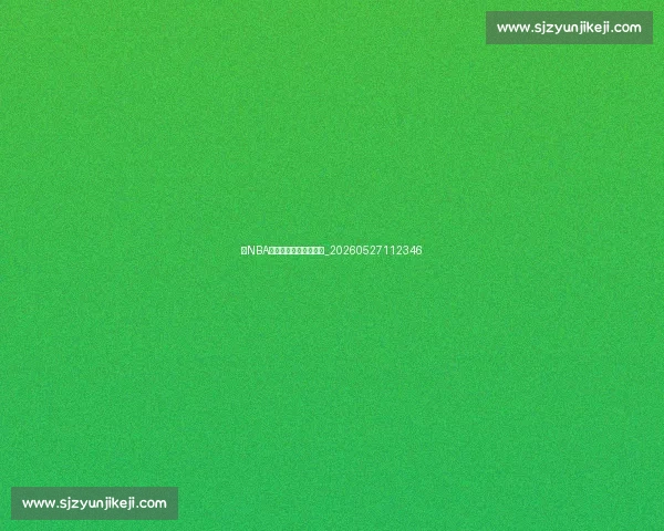 年NBA季后赛对阵图深度解析_20260527112346